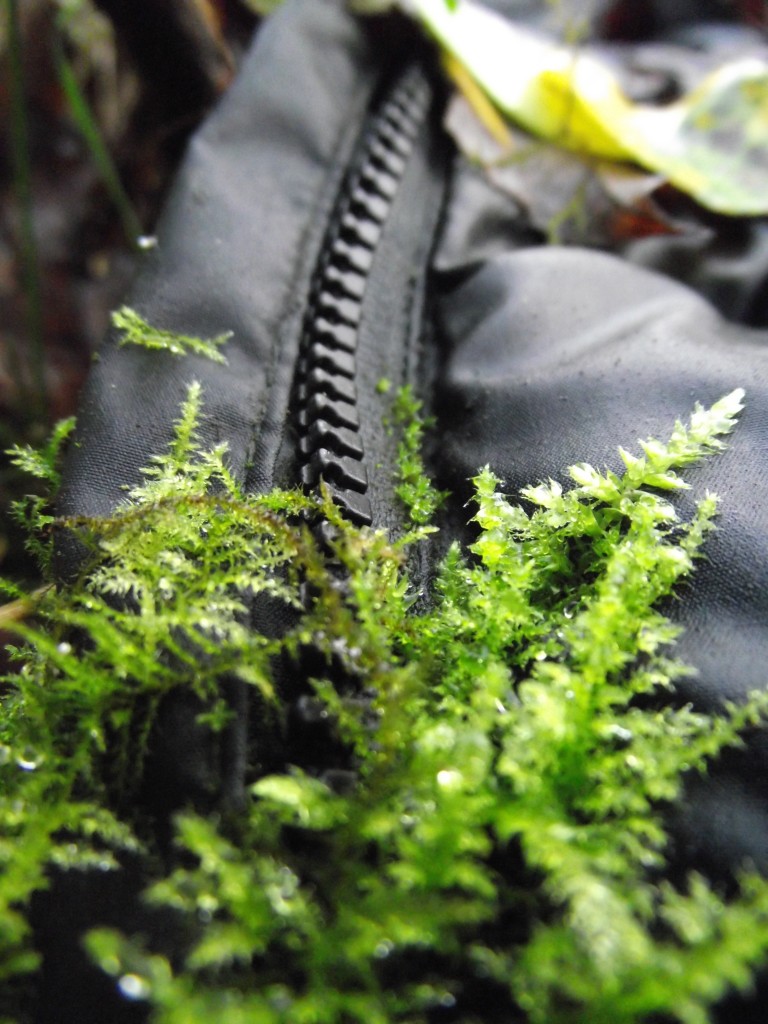 Coat with moss growing on