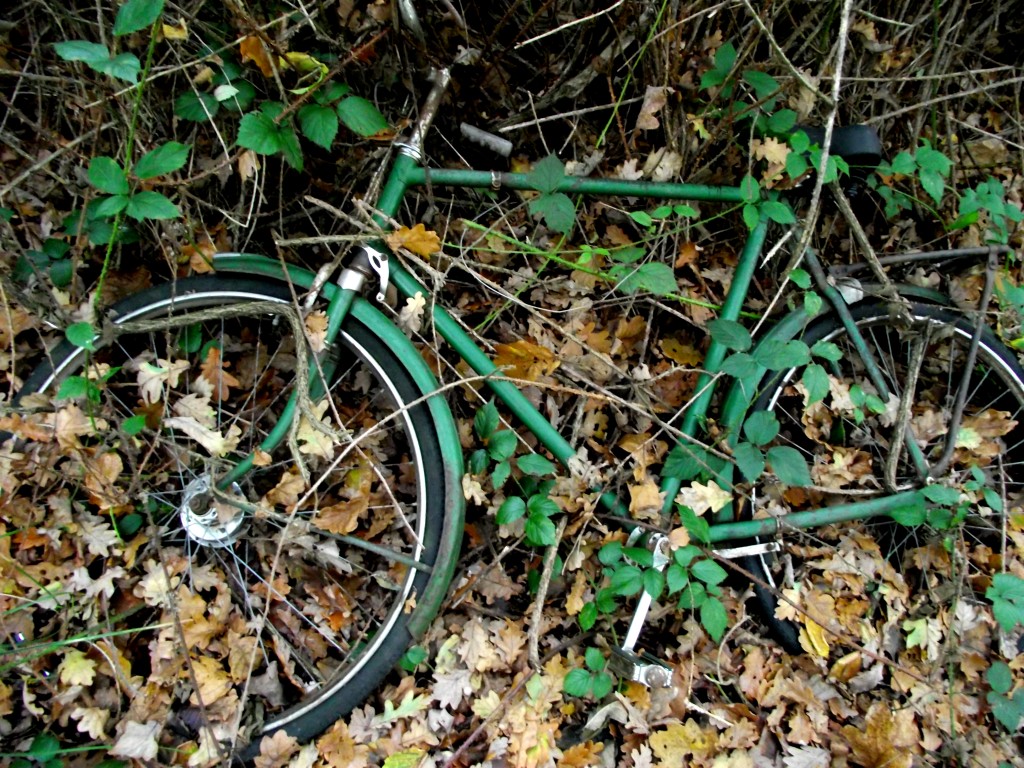 Overgrown bike