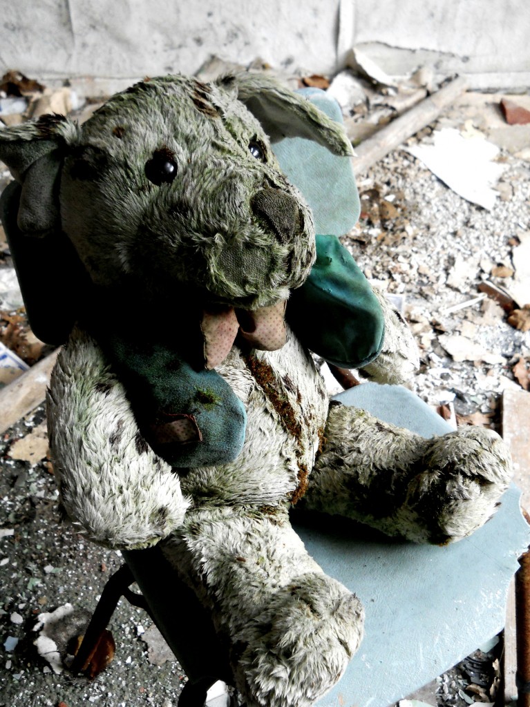 Poor-mouldy-teddy