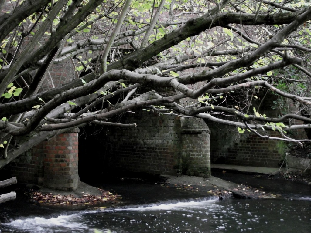 Under the arches