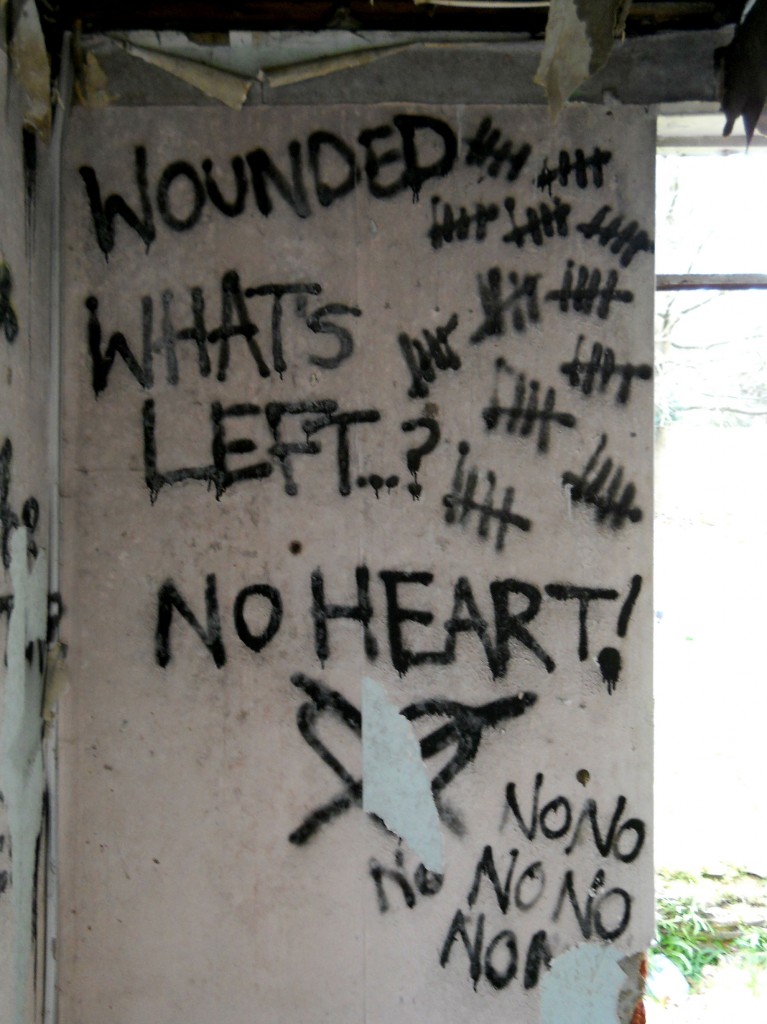 Wounded-whats-left-no-heart