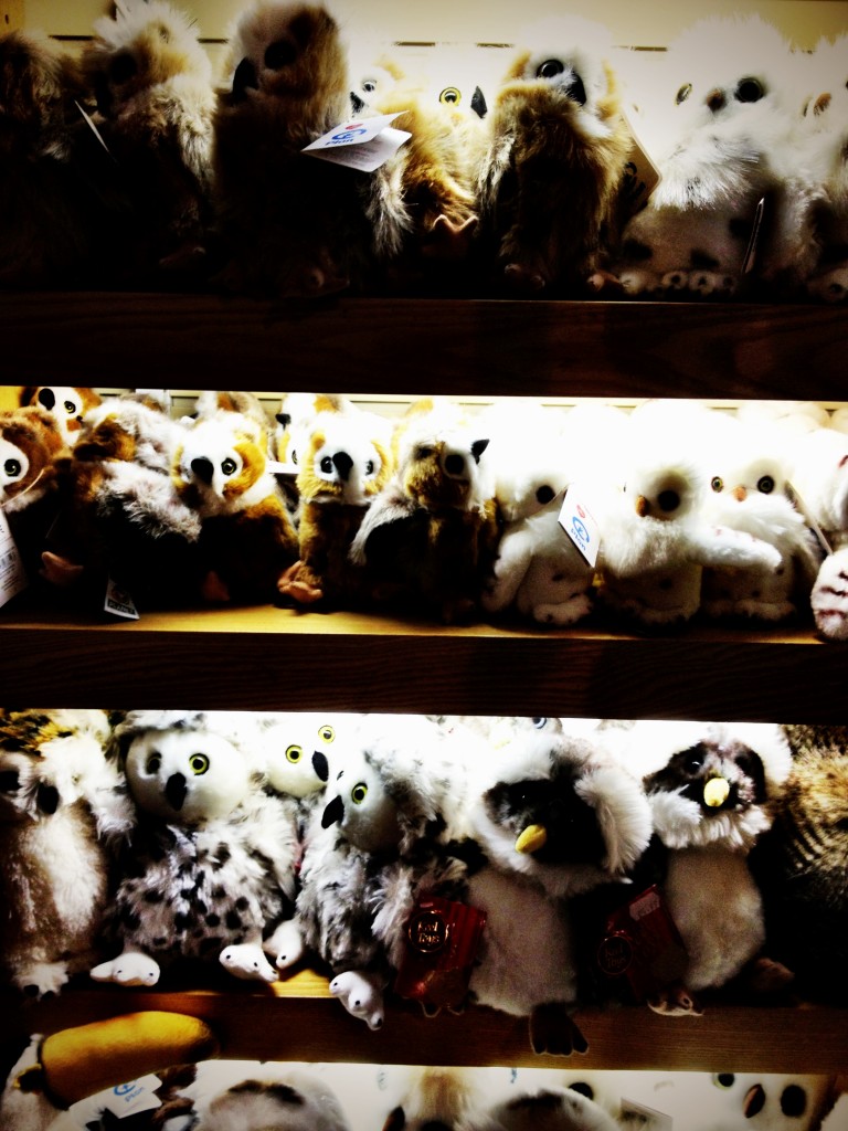 Shelf of owls 