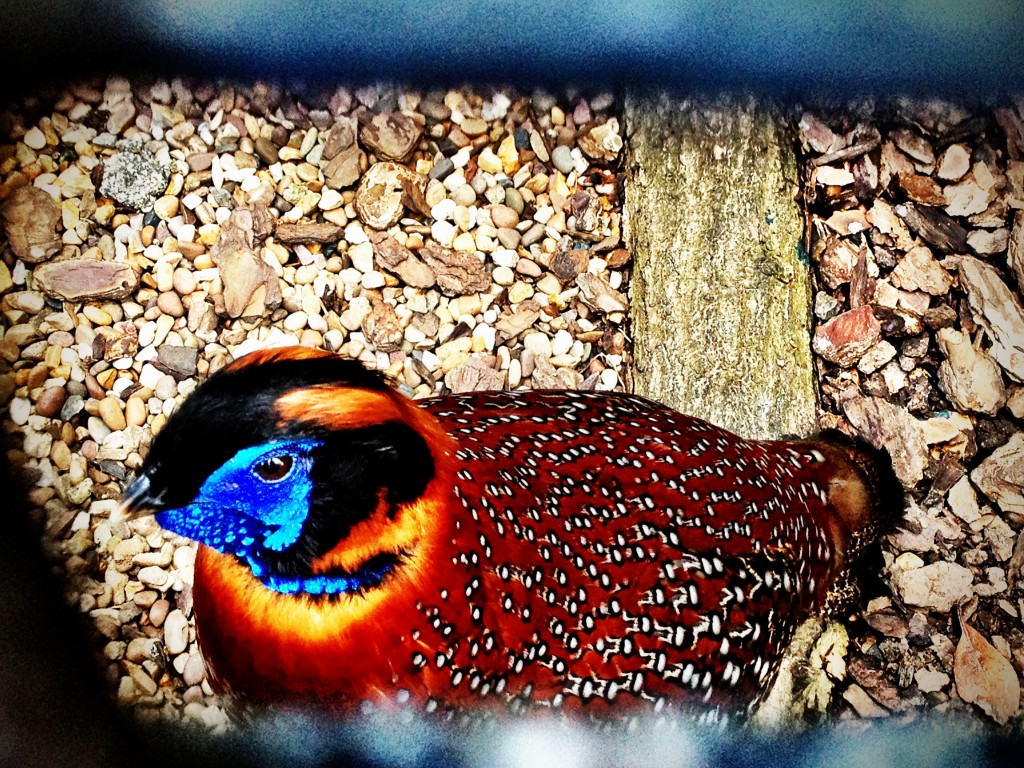 Beautiful colours, love a bit of orange and blue