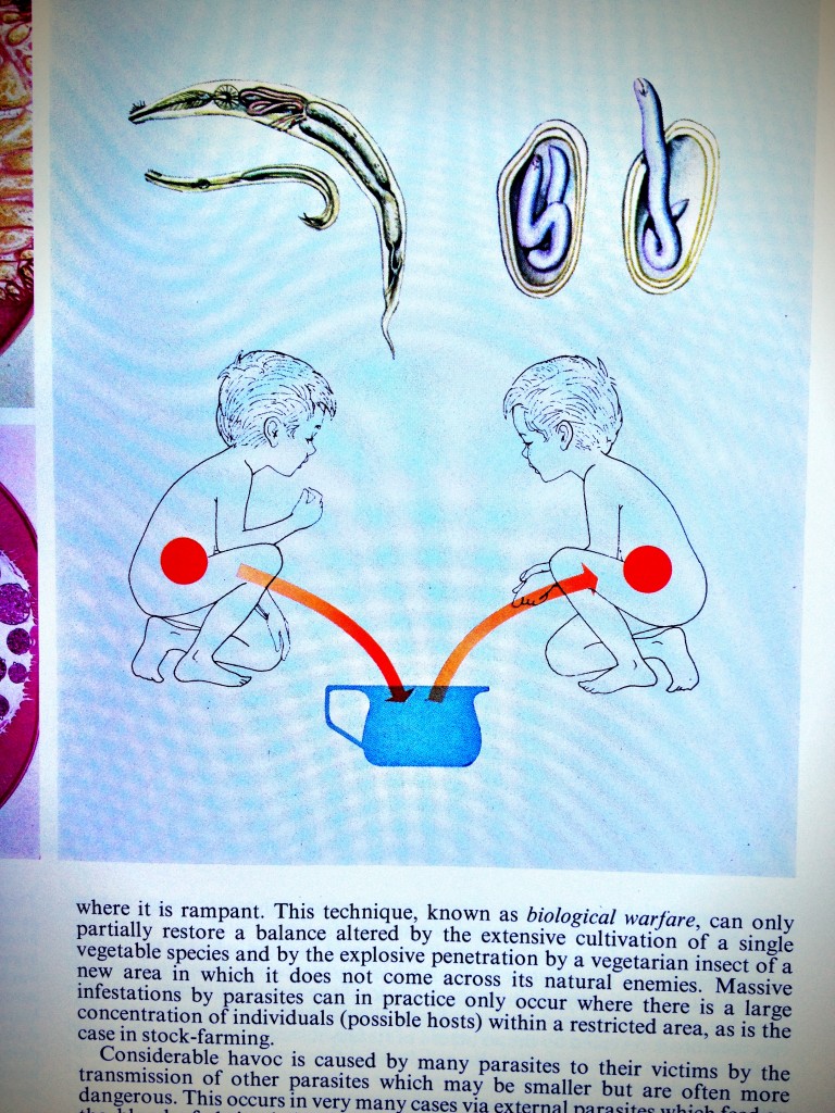 Two toddlers one cup. I have no idea what the hell on earth is going on in this diagram.